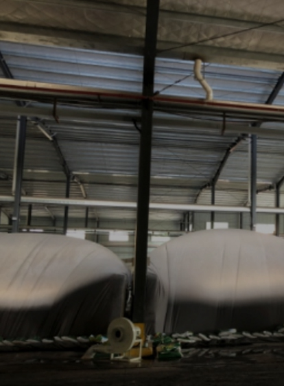 尊时凯龙·Z6(中国区)人生就是拼搏!